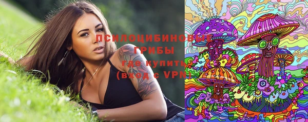 винт Михайловск