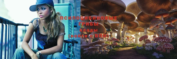 гашишное масло Михайлов